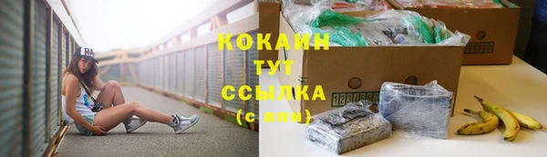 Альфа ПВП Лабытнанги