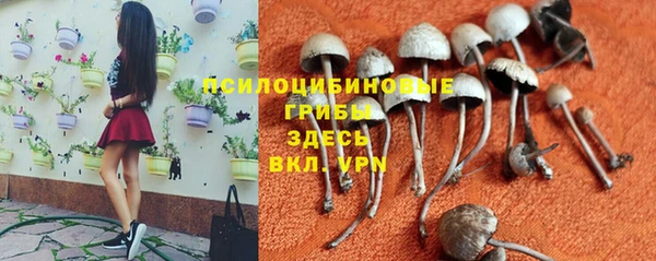 Альфа ПВП Лабытнанги