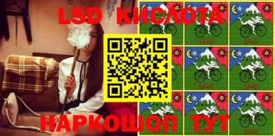 спайс Берёзовский