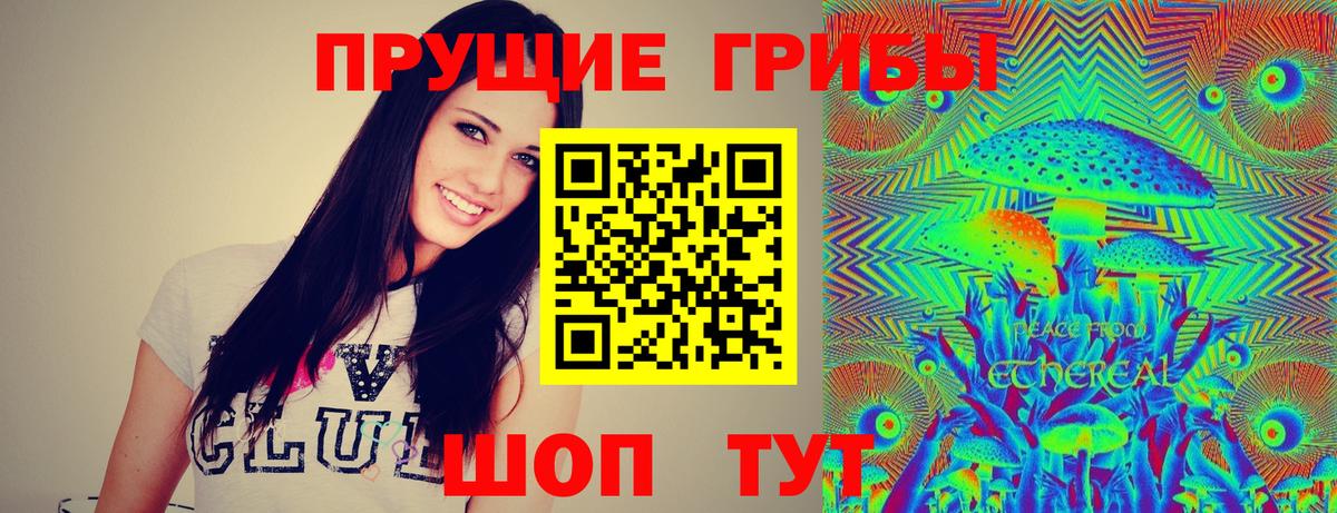 Дербент  Галлюциногенные грибы MAGIC MUSHROOMS  Вход с VPN  Псилоцибиновые грибы Magic Shrooms 