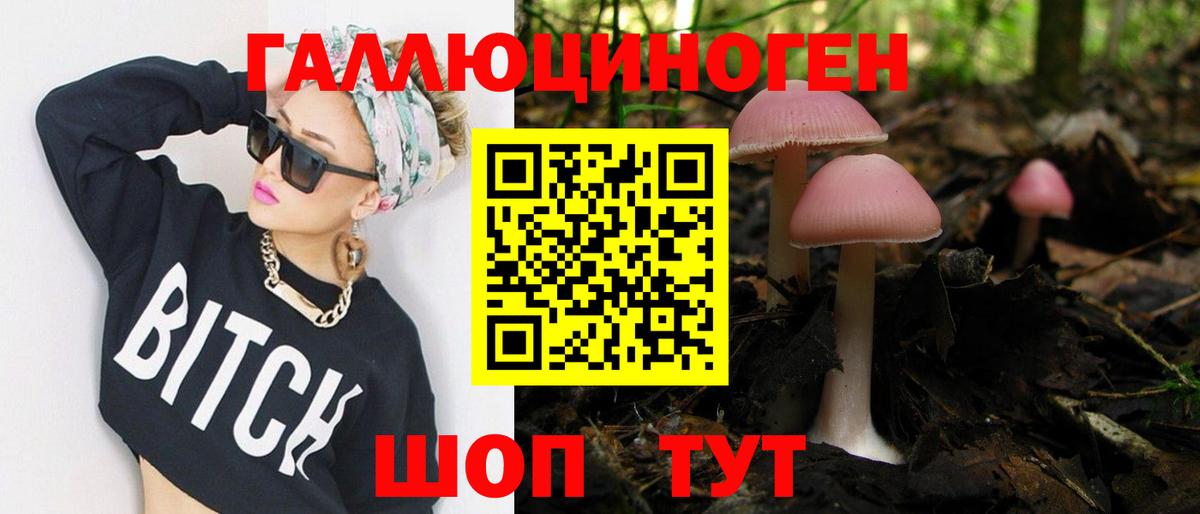 Псилоцибиновые грибы Cubensis Дербент