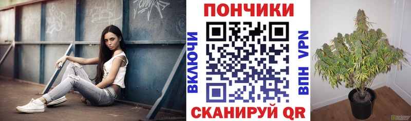 даркнет Telegram  Дербент  Шишки марихуана Amnesia 